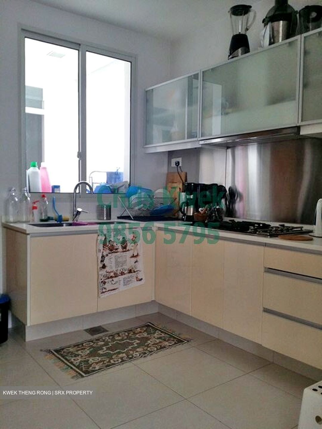 The Sea View (D15), Condominium #622165511
